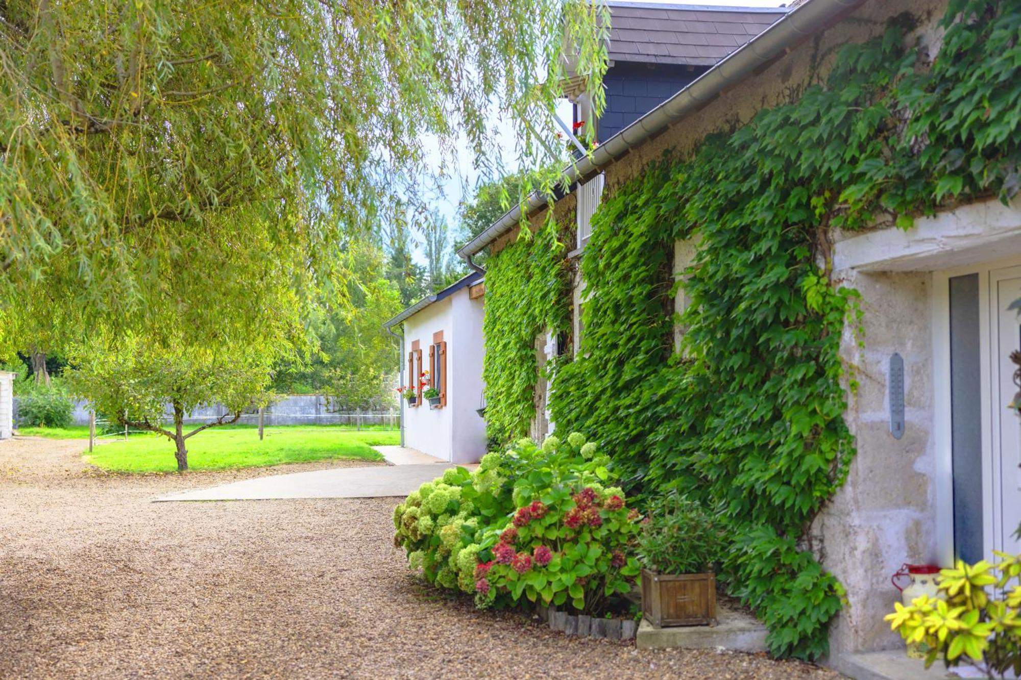 Bed and Breakfast Ferme de Marpalu à La Ferté-Saint-Cyr Extérieur photo